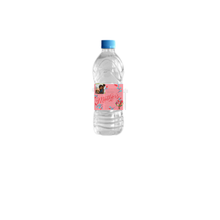 Load image into Gallery viewer, Custom Design Party Favor Water Bottle 20 OZ and Labels 6 Pack
