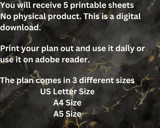 A 5 pack printable planner to reflect on Life challenges and successes.