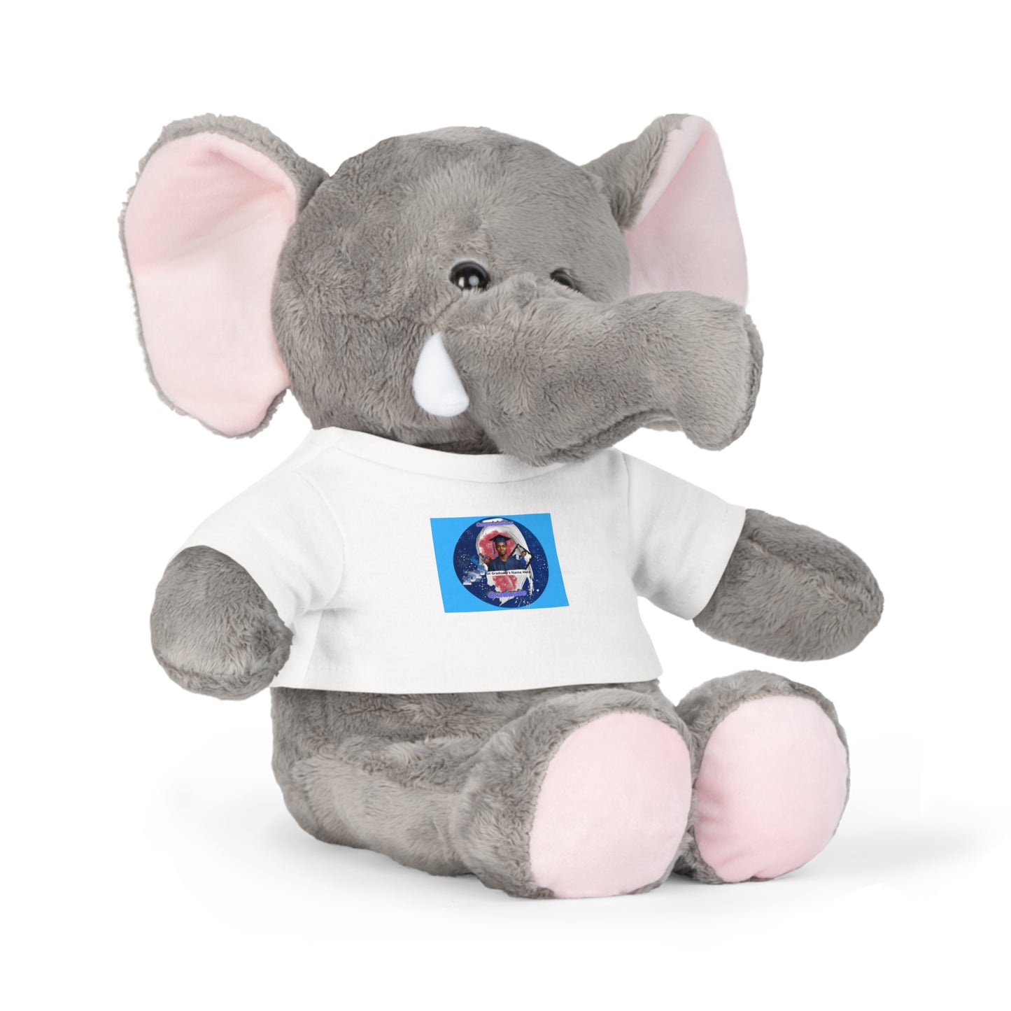 Teddy Bear Plush Toy. Personalize photo and name. Blue