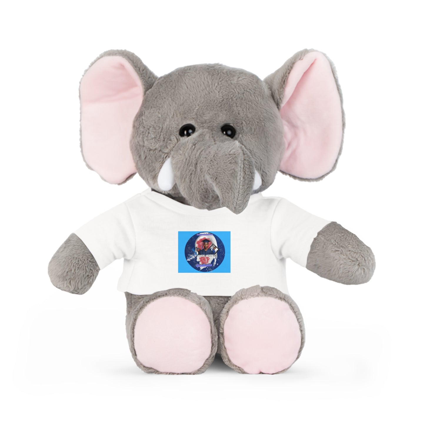 Teddy Bear Plush Toy. Personalize photo and name. Blue